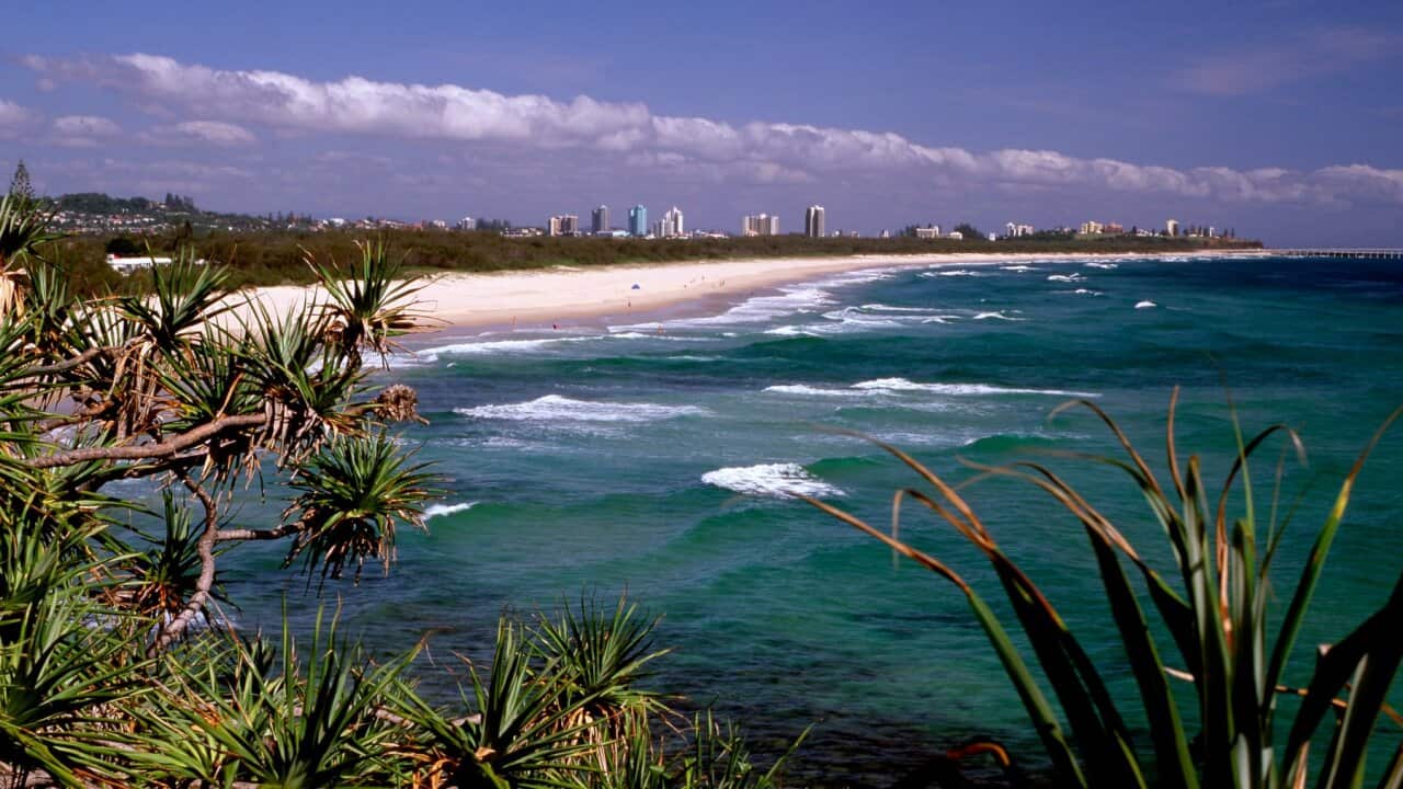 این عکس تزئینی است