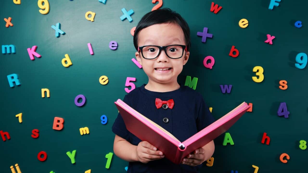 Australian education system is split into four different stages. These includes pre-school, primary, high school and tertiary education.