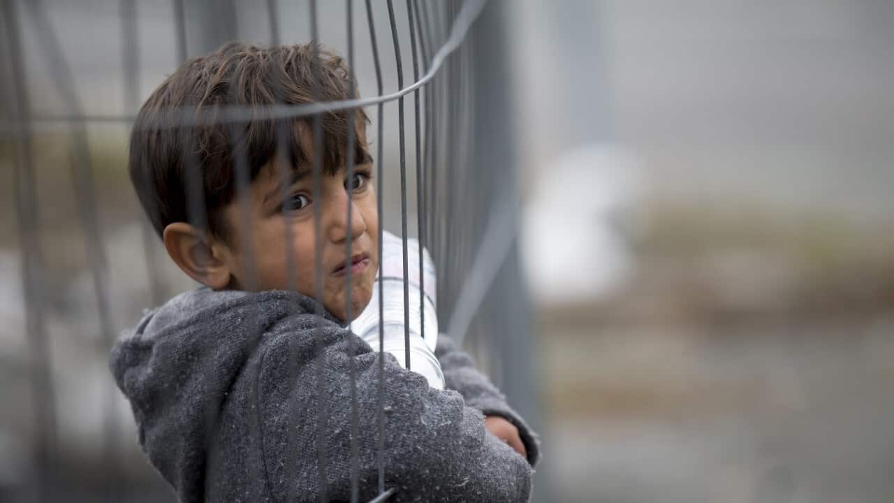 A migrant child looks through a fence at the Slovenian-Austrian border in Spielfeld, Austria.