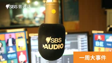 SBS一周大事件(2026年6月12日) | SBS Chinese