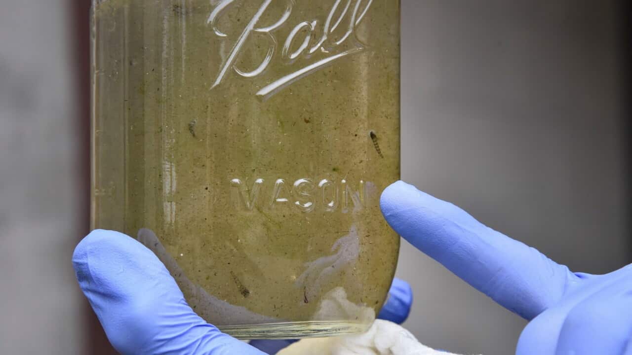 A sample of water that contains possible microplastics at a water treatment plant in the US