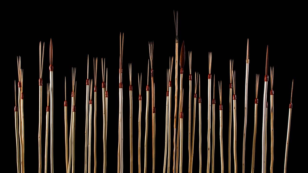 Four surviving 1770 Gweagal Spears. Photo by Museum of Archaeology and Anthropology Cambridge.jpg