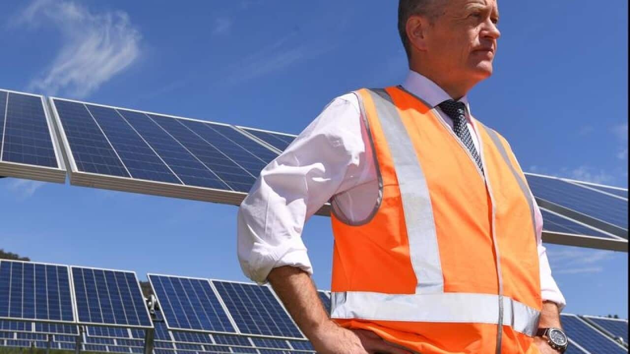 Opposition Leader Bill Shorten during a visit to Mount Majura Solar