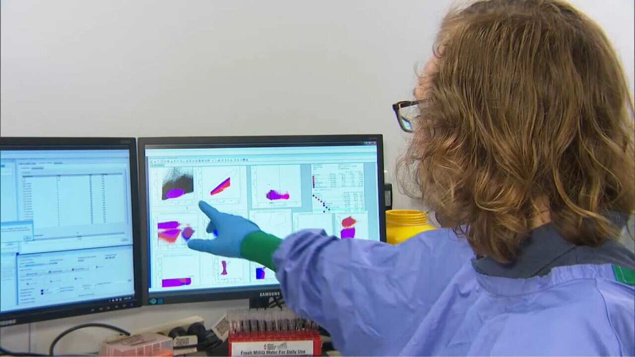 Working on reducing the impact of hayfever (SBS).jpg