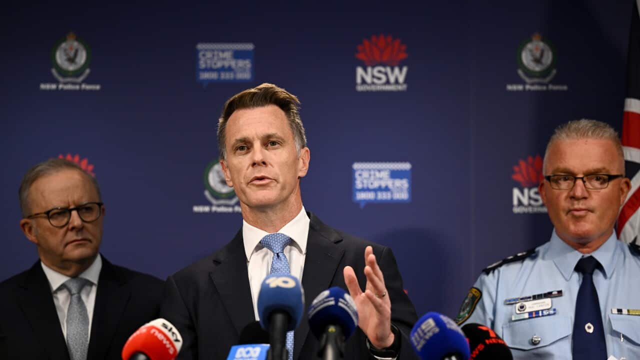 CHRIS MINNS BONDI BEACH SHOOTING