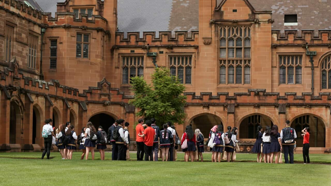 AUSTRALIA-SYDNEY-INT'L EDUCATION SECTOR-STRUGGLE