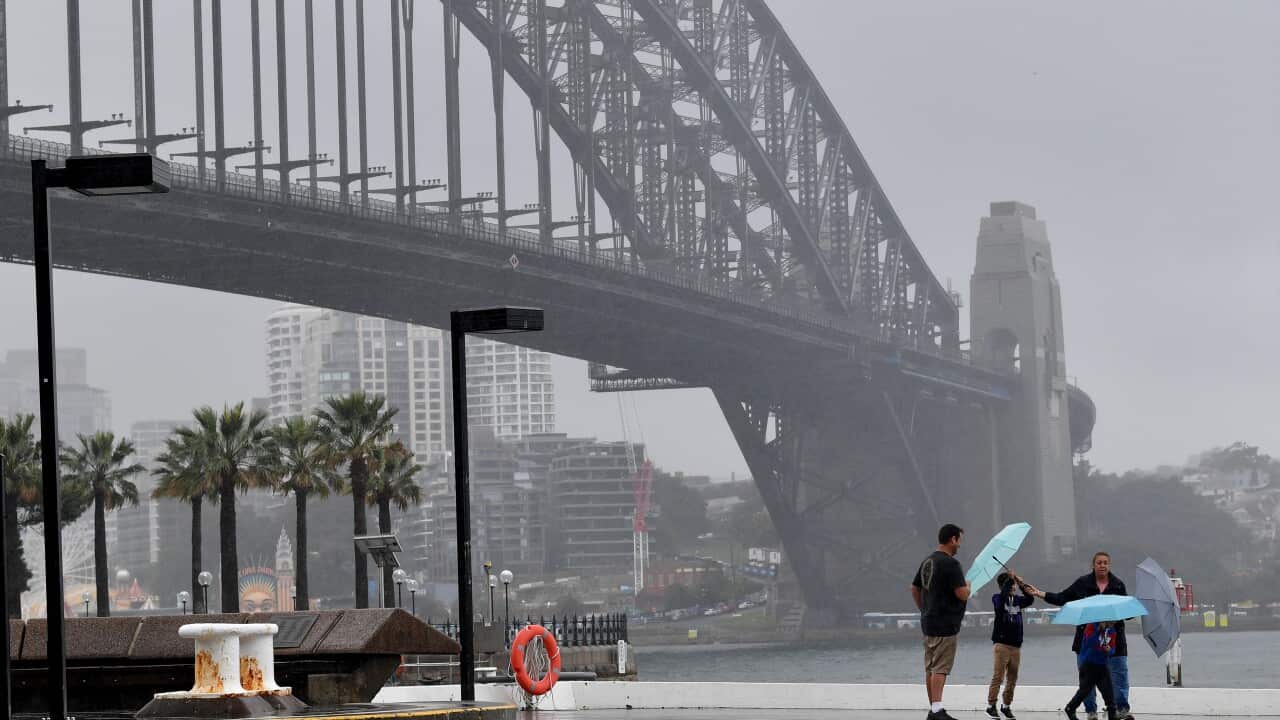 Members of the public shelter from the rain under umbrellas as they walk past the Harbour Bridge in Sydney