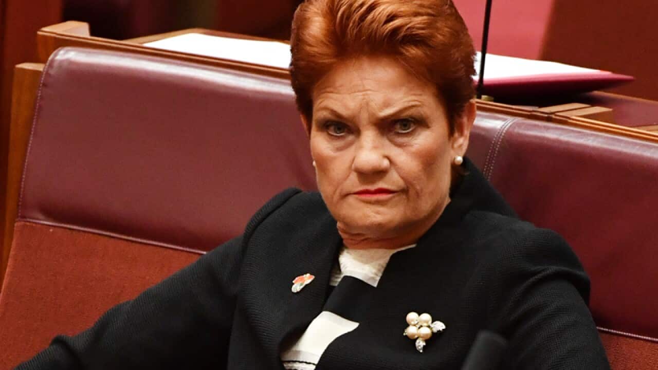 One Nation leader Senator Pauline Hanson