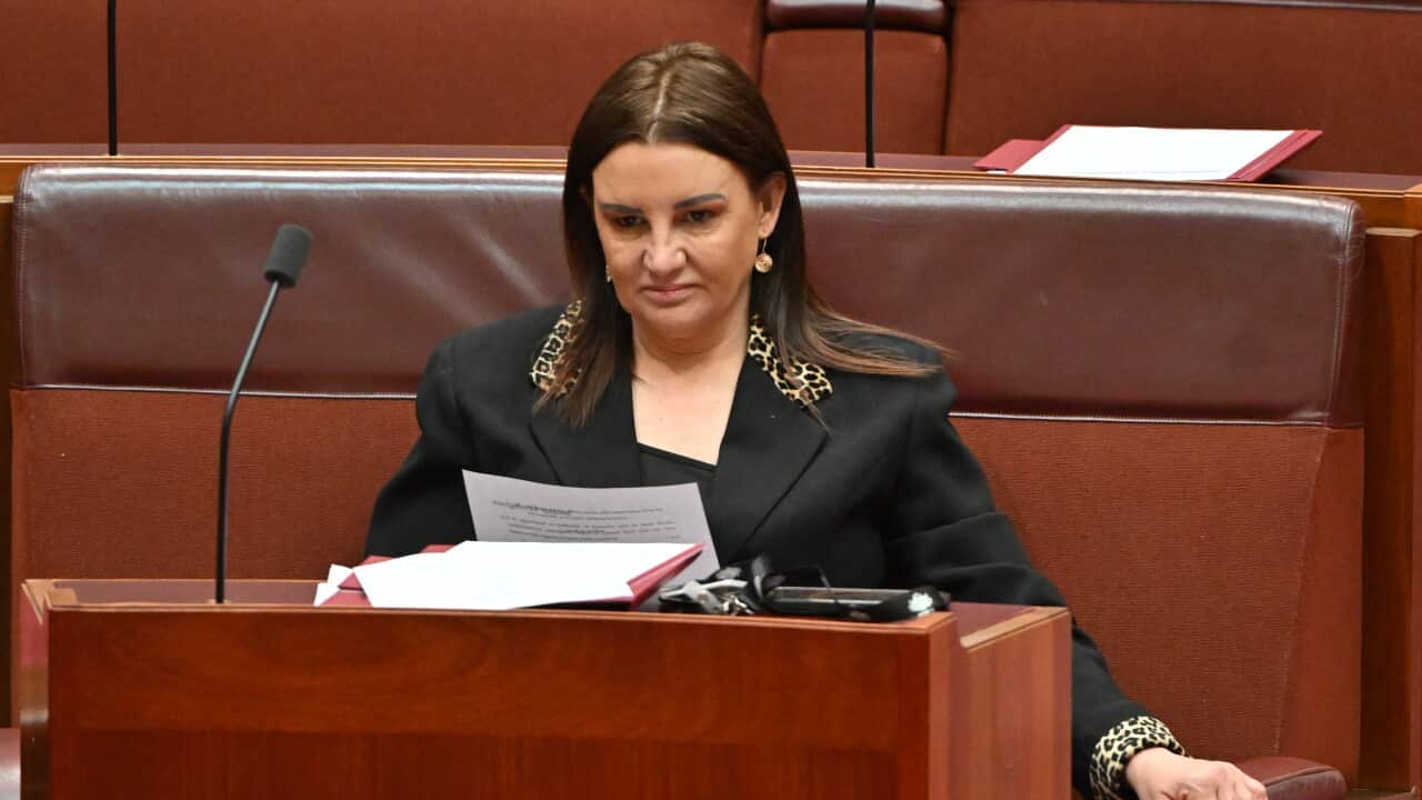 SENATE BUSINESS