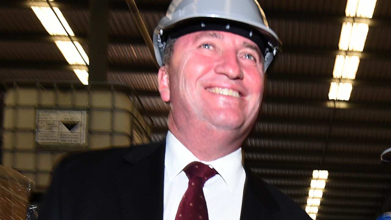Deputy Prime Minister Barnaby Joyce