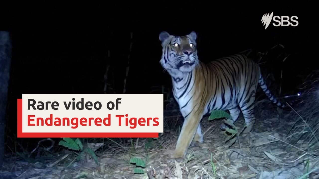 Image for read more article ''