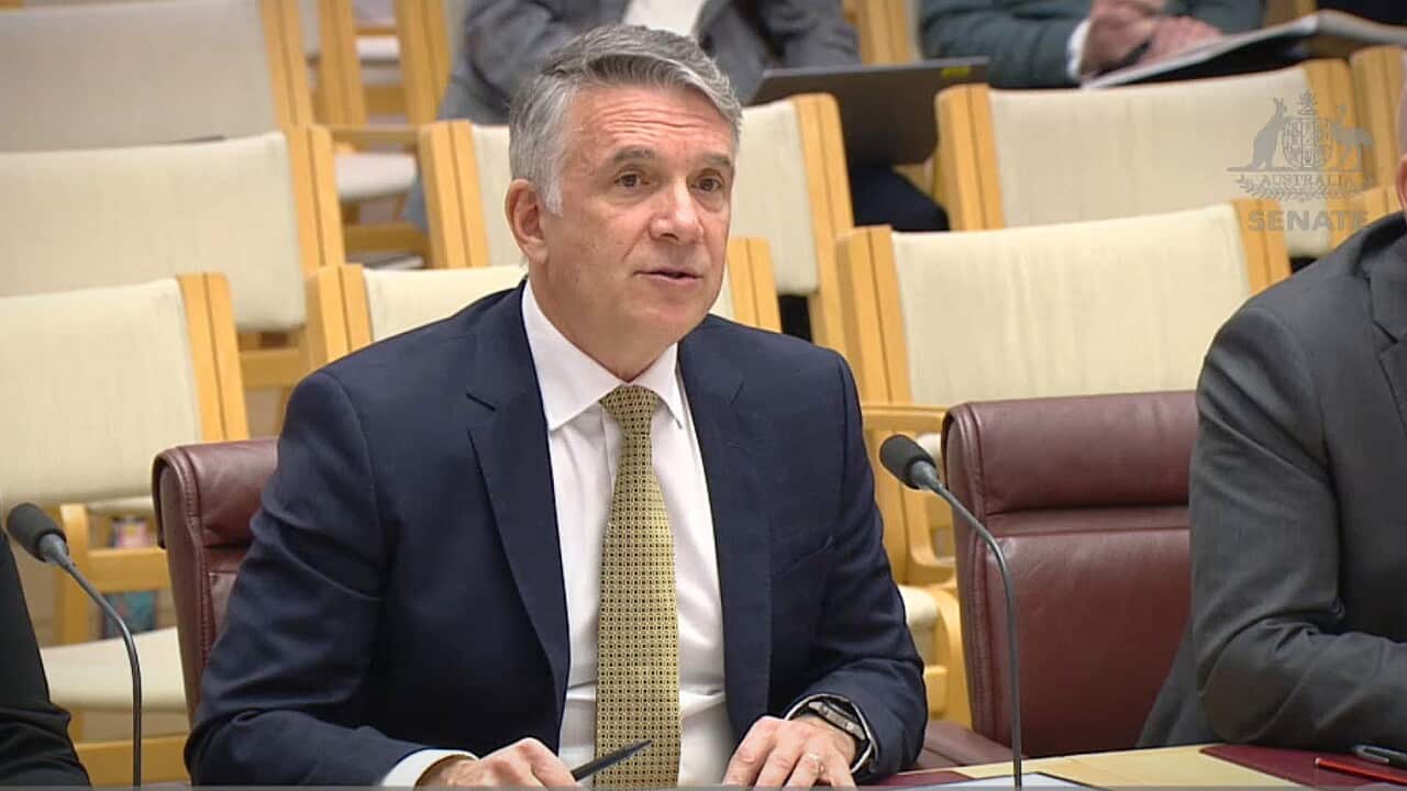 Deloitte Australia Chairman Tom Imbesi giving evidence to the Senate Committee (supplied).jpg