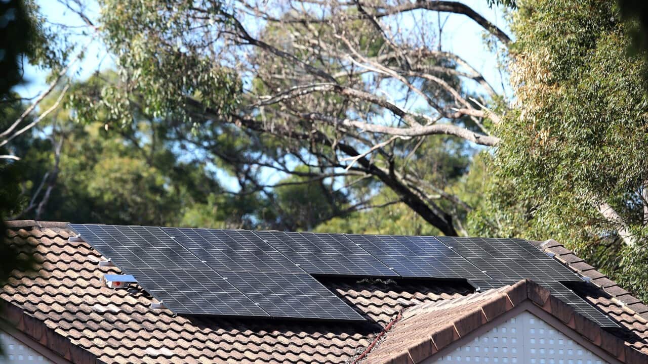 ELECTRICITY STOCK QUEENSLAND