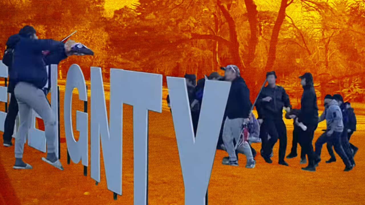 Anti immigration protest violence web hero.jpg