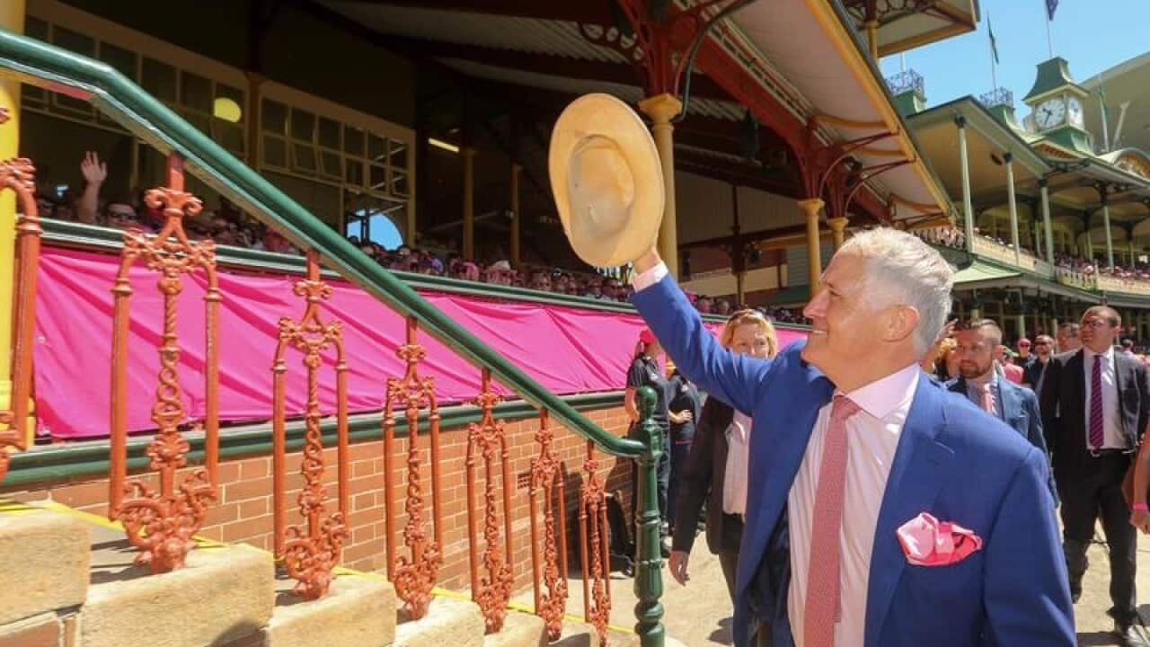 Malcolm Turnbull at the Sydney Cricket Ground