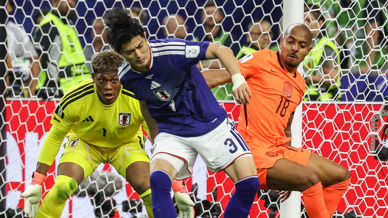 Germany, Sweden Secure Big Wins as Japan Fights Back for 2-2 Draw on World Cup Day 4