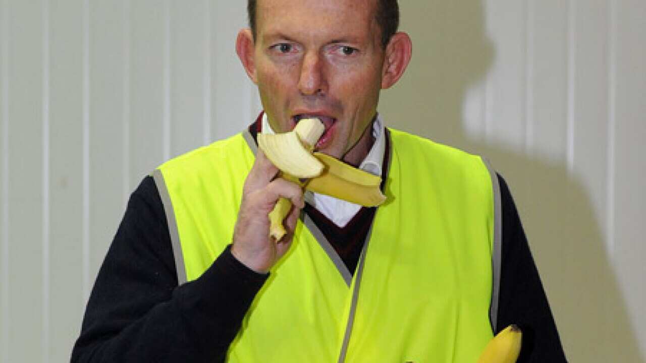 abbott_banana_100708_B_AAP_784103280