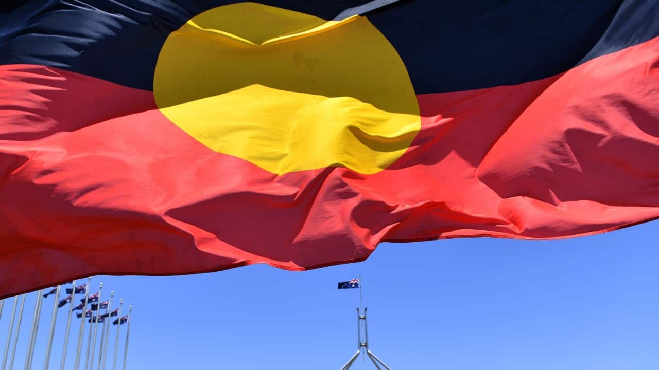 A marcher holds a flag as he protests for Aboriginal rights on Australia Day at Parliament House in Canberra, Sunday, January 26, 2020. (AAP Image/Mick Tsikas) NO ARCHIVING