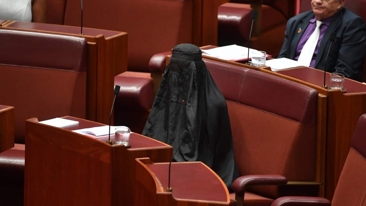 One Nation Leader Senator Pauline Hanson wears an Islamic veil in the Senate chamber at Parliament House in Canberra, Thursday, August 17, 2017.