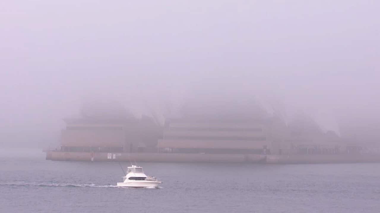 Thick fog reduced visibility in Sydney.