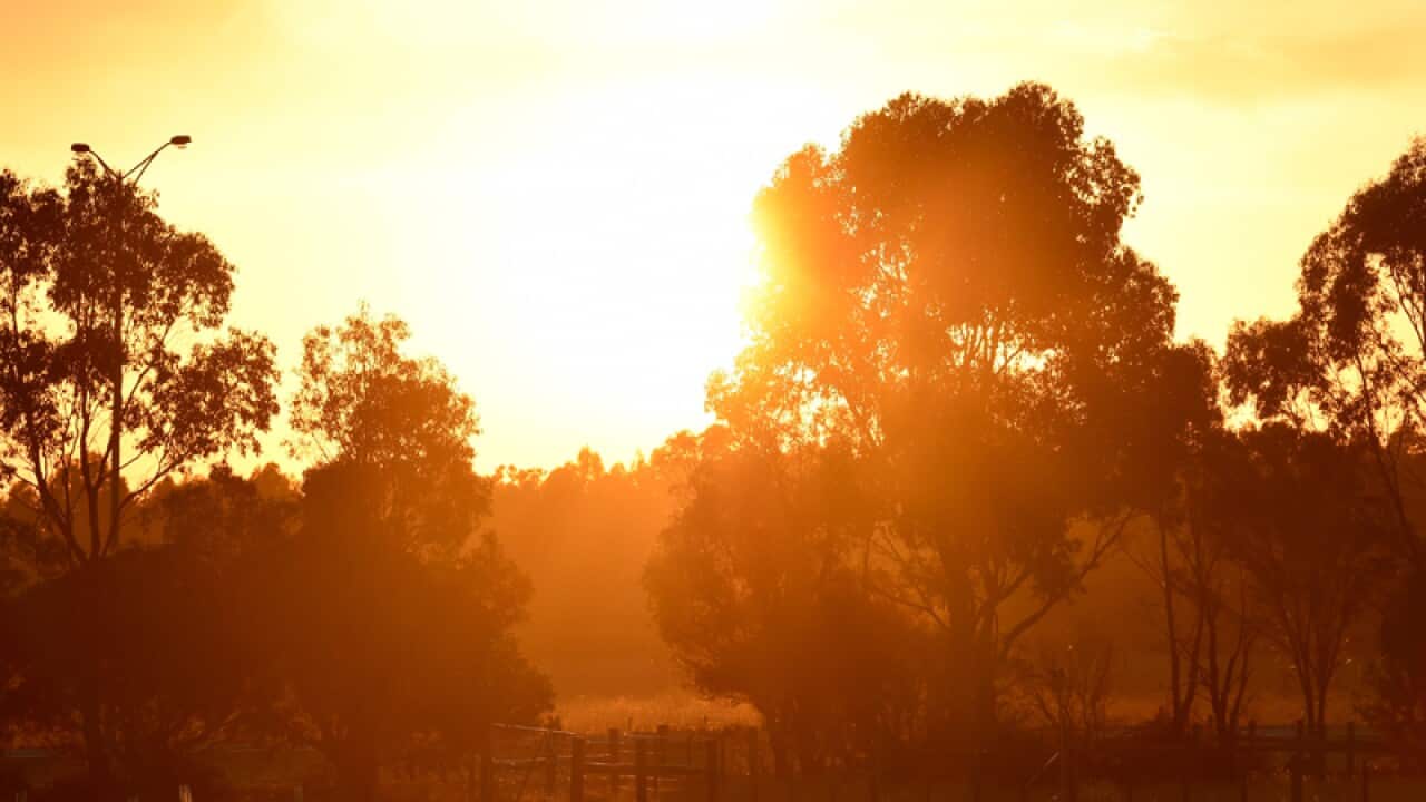 The sun rises over the Otway Ranges in Victoria