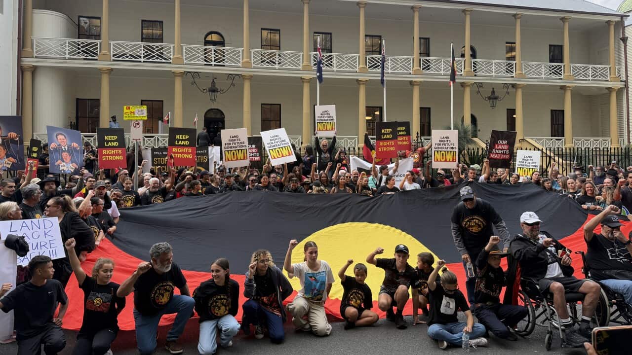 NSWALC action out front of NSW Parliament.jpeg