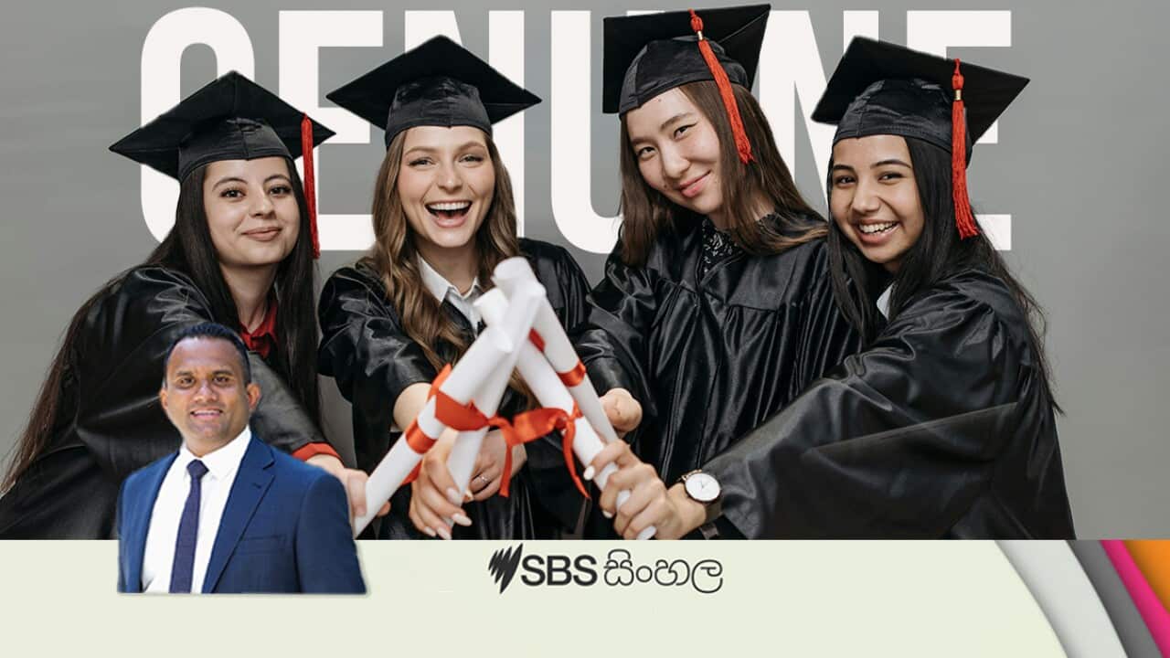 GS_Kasun Gamlath.jpg