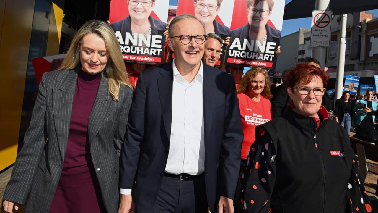 ELECTION25 ANTHONY ALBANESE CAMPAIGN