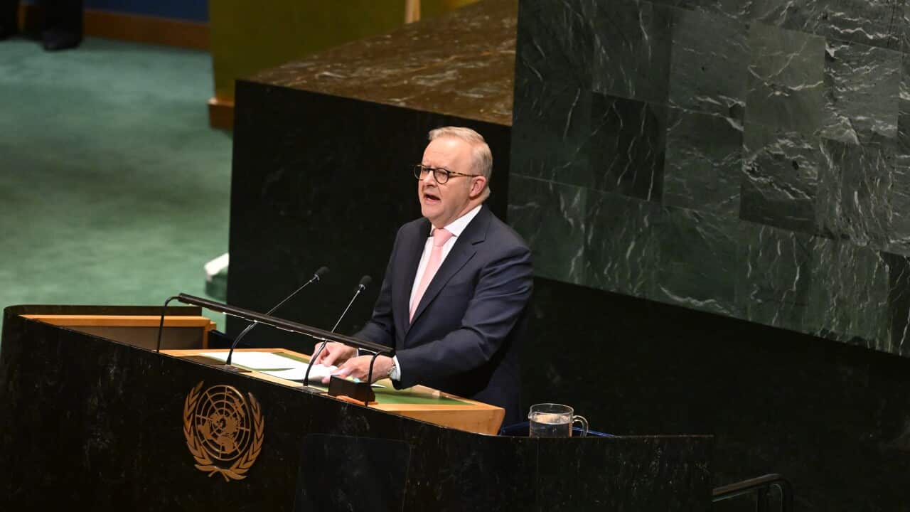 ANTHONY ALBANESE UNITED NATIONS