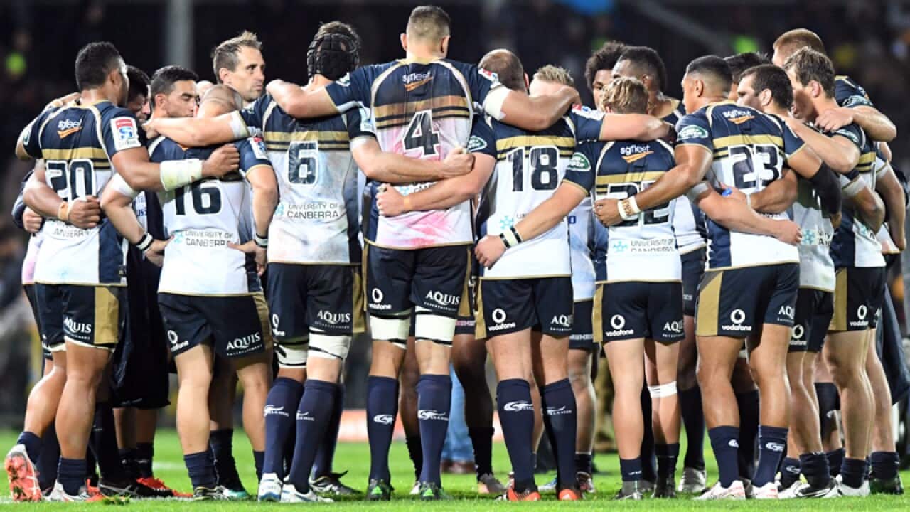 ACT Brumbies players