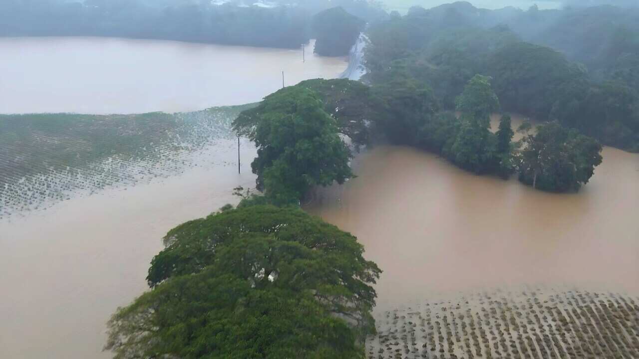 The hottest year in history - and Australia could see more extreme weather (AAP).jpg