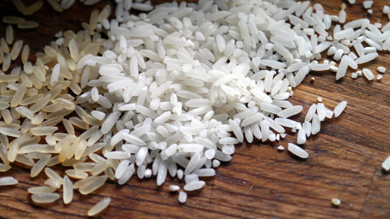 Rice