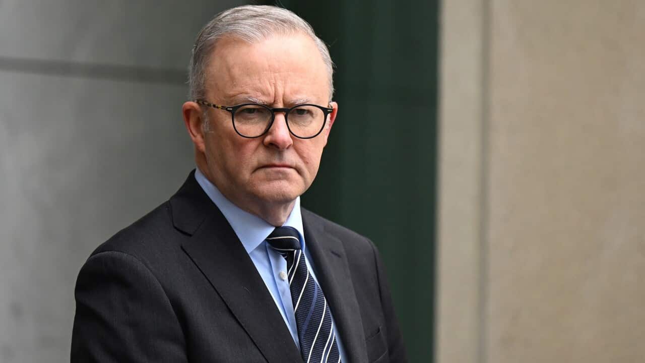 ANTHONY ALBANESE PRESS CONFERENCE