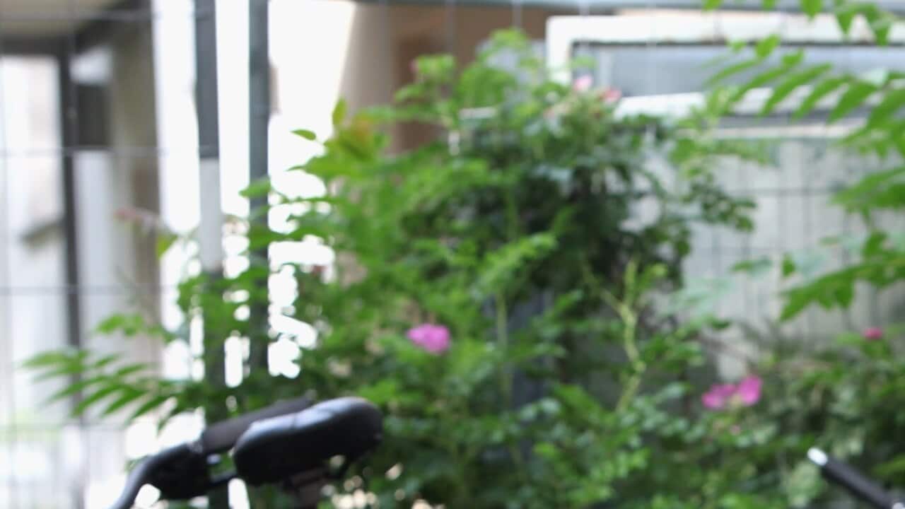 No sea su asistente personal: deje que su hijo se equivoque