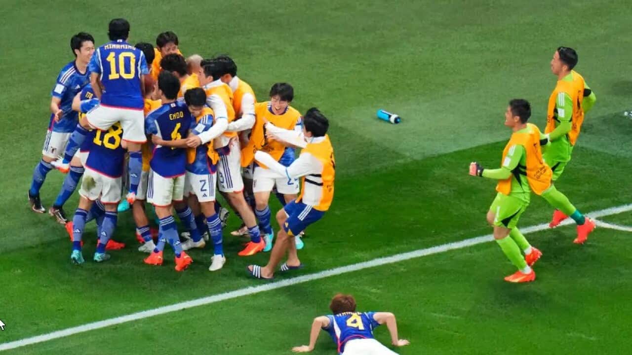Japan celebrates after a goal by Takuma Asano during the World Cup group E soccer match between Germany and Japan, at the Khalifa International Stadium in Doha AAP AP.jpg