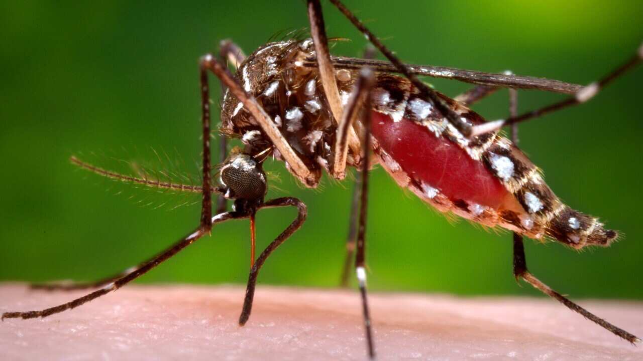 Zika is an ongoing issue