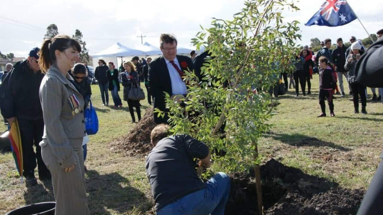 Image for read more article 'READ MORE'