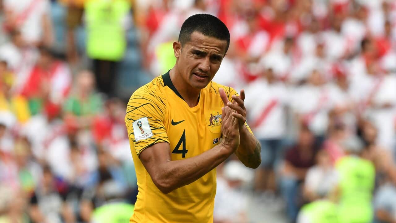 Tim Cahill