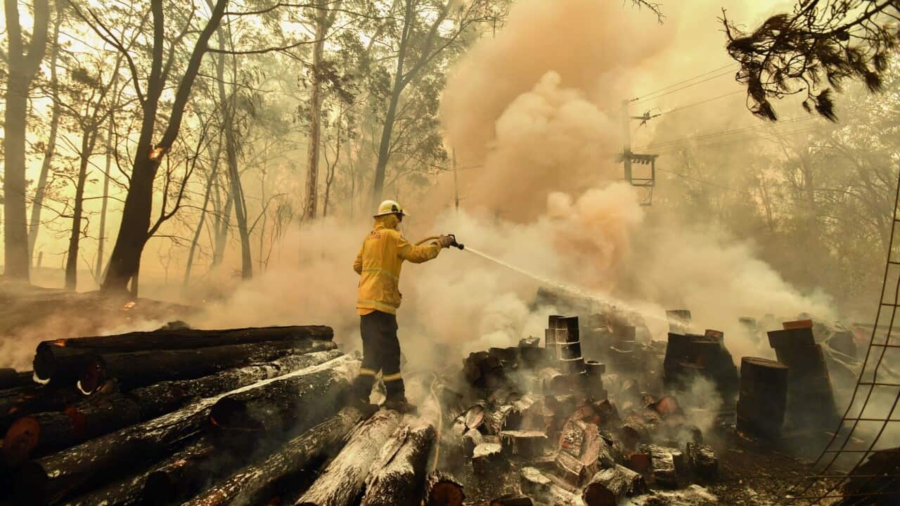 Firefighters hose down a burning woodpile during a bushfire in Werombi, 50km south west of Sydney, Friday, December 6, 2019. (AAP Image/Mick Tsikas) NO ARCHIVING