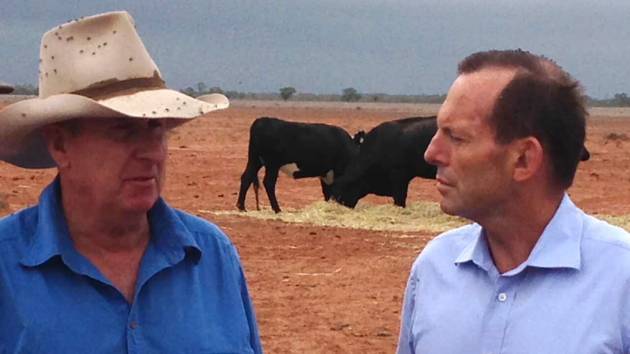 TonyAbbott_140216_AAP.jpg