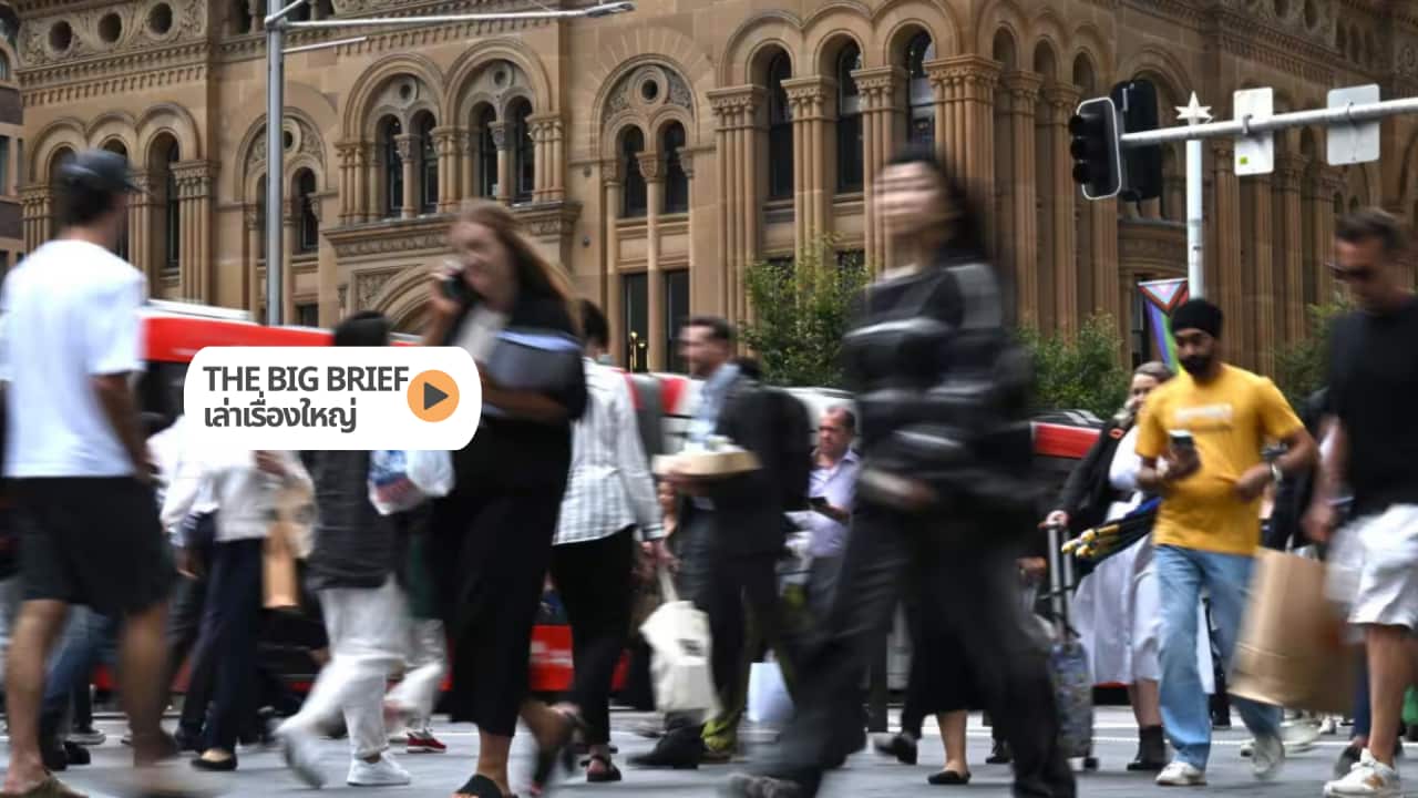 The Big Brief HEADER (1).png