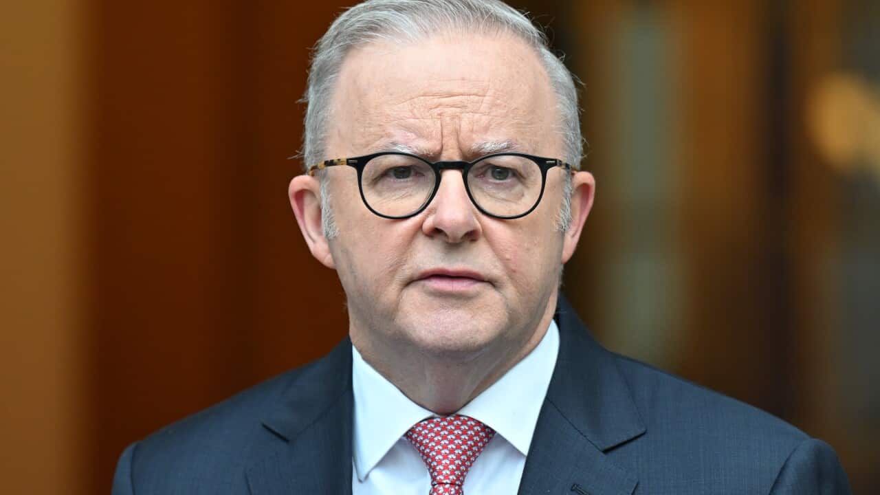 ANTHONY ALBANESE PRESSER