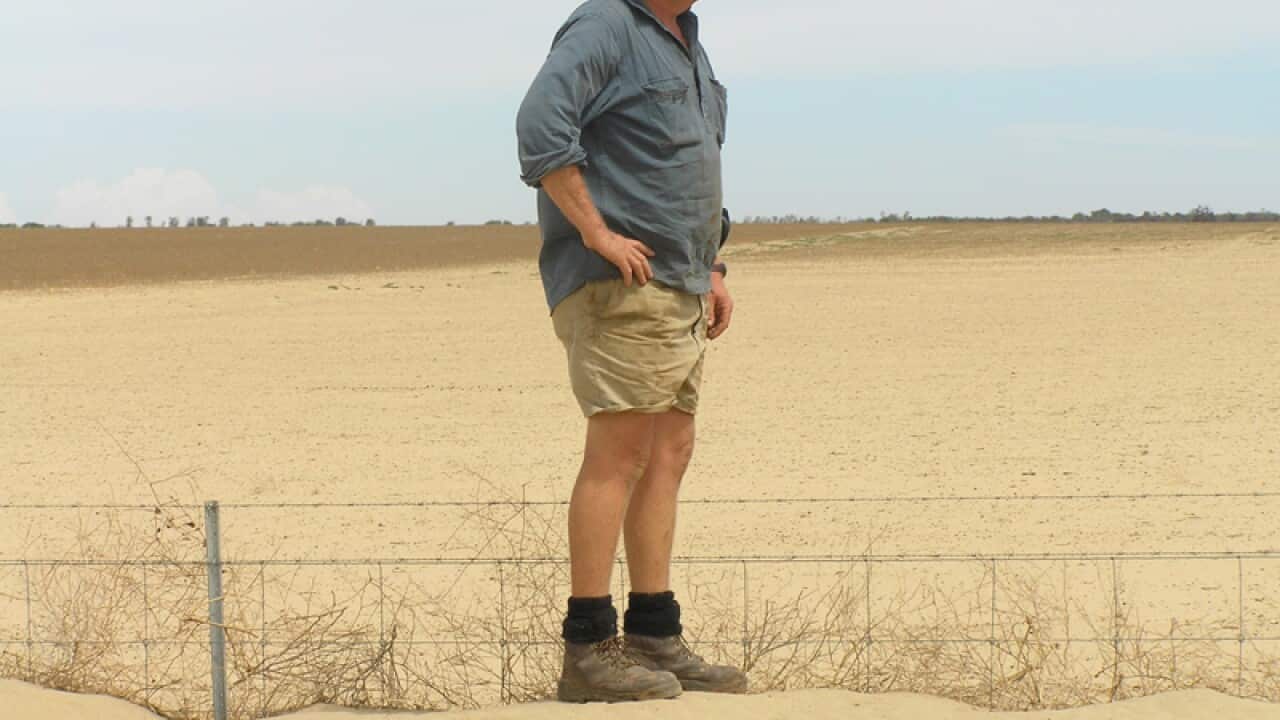 A West Australian farmer