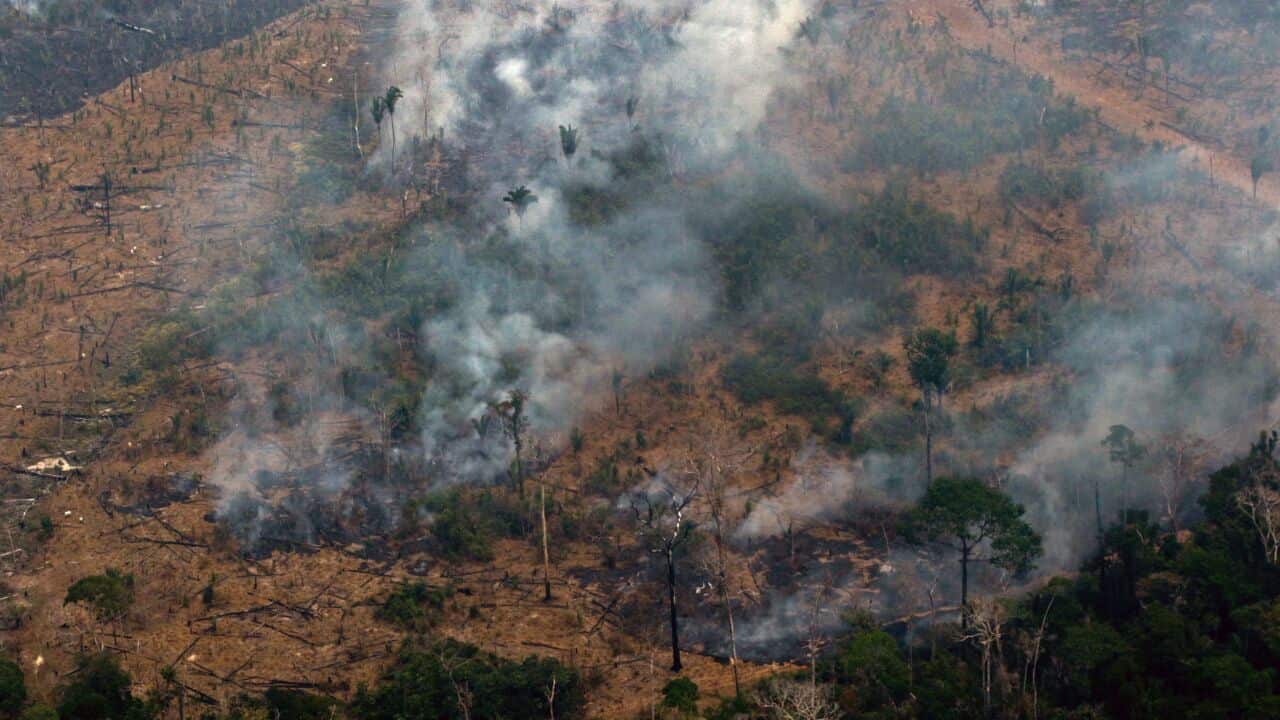 Smoke billowing from a patch of forest being cleared with fire in the surroundings of Boca do Acre in the Amazon basin in northwestern Brazil in 2019.