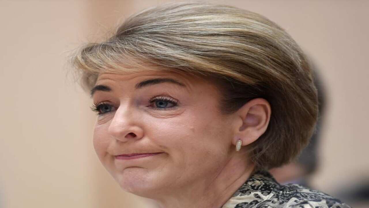 A file image of Michaelia Cash giving evidence during Senate Estimates