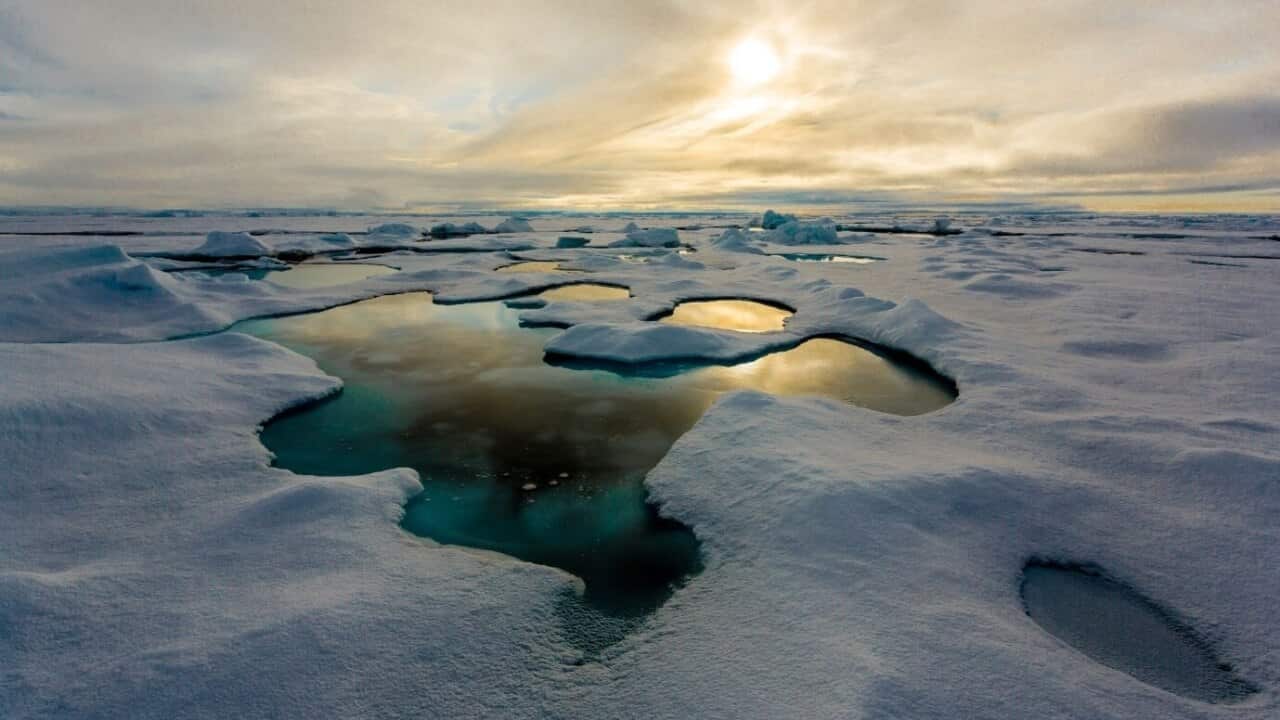 Arctic summer sea ice melted in 2020 to the second smallest area since records began 42 years ago, US scientists announced on Monday.