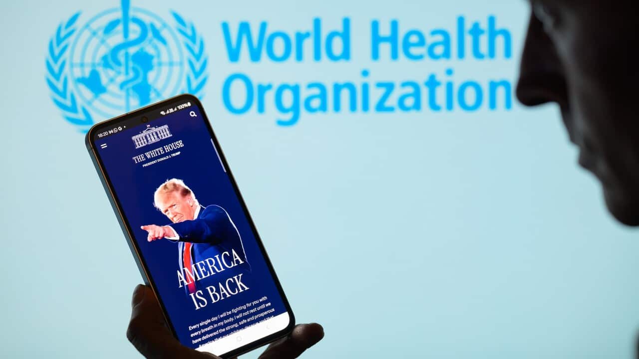 President Donald Trump - World Health Organization (WHO) - Photo Illustration