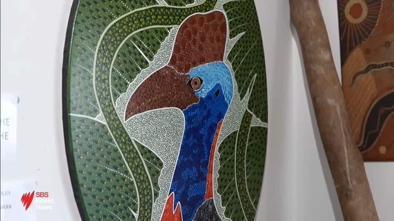 CASSOWARY.jpg