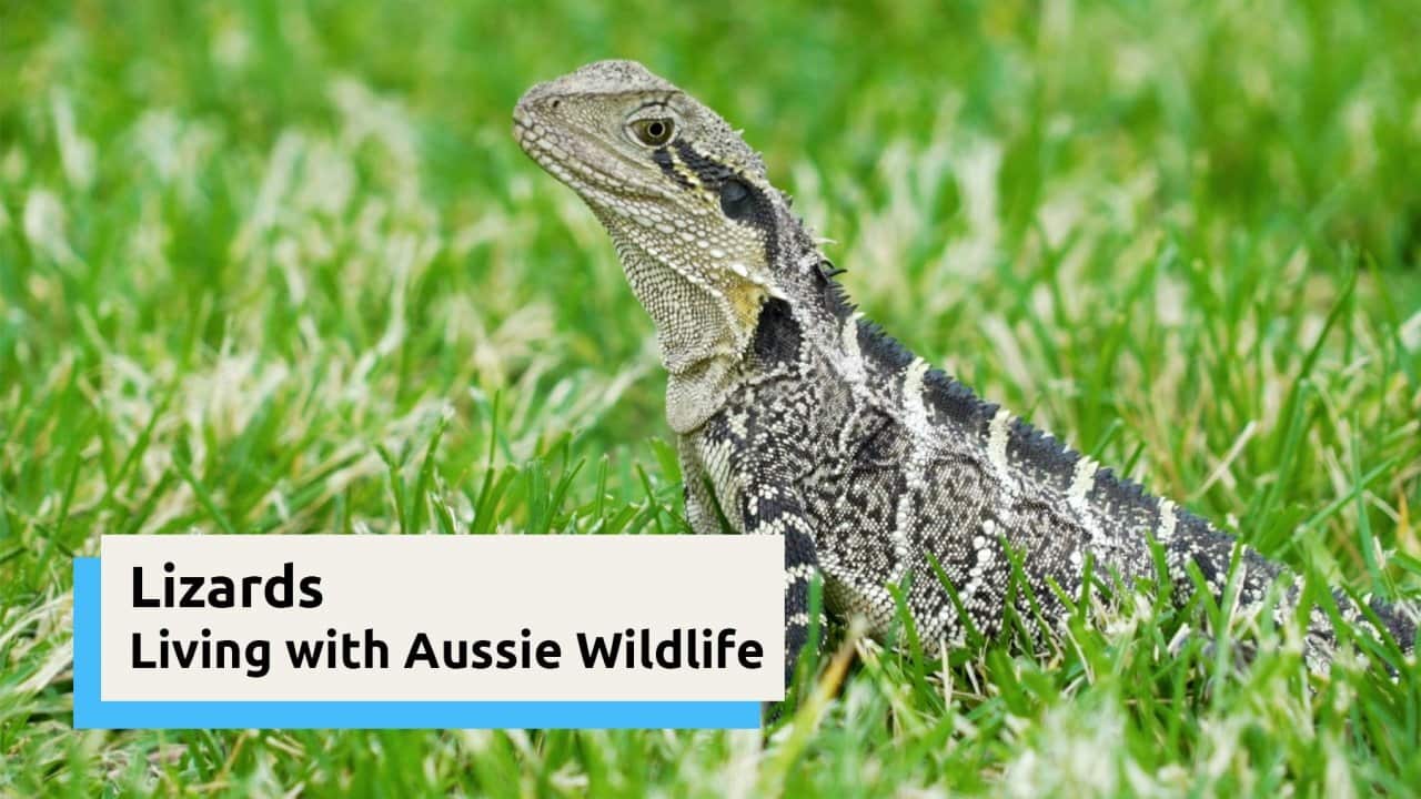 Image for read more article 'Watch video'