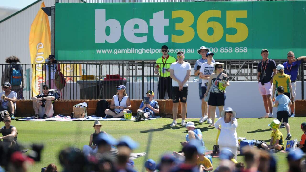 Cricket watchers stand in front of a gambling advertising billboard.